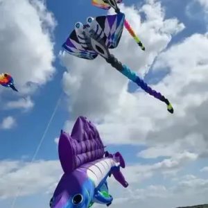 An inflatable ray kite with wide patterned fins, raised eyes and a long tail.
