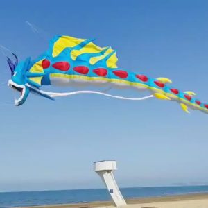 A colorful inflatable kite with a long patterned body, fins and trailing streamers.