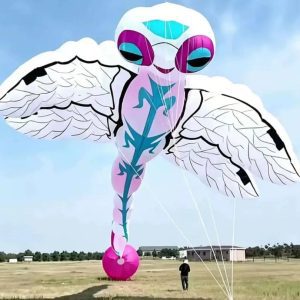 A dragonfly-shaped kite with large eyes, patterned translucent wings and a long body.