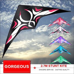 An angular sport kite with curved white patterns across its sail.