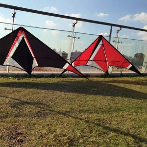 A black, white and red Ninja stunt kite with a swept triangular sail.