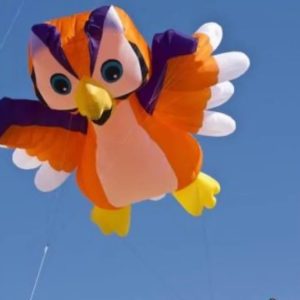 A cartoon owl-shaped kite with large eyes and outstretched wings.