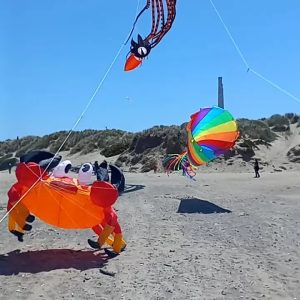 An octopus kite with a rounded head and long flowing tentacles flying over a beach.